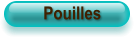 Pouilles